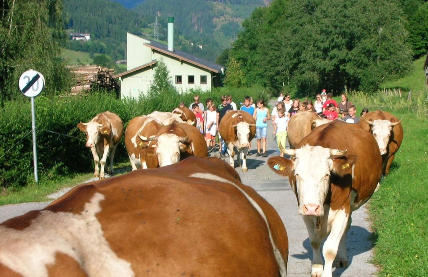 Bio-Bauernhof-Hotel Matlschweiger Lassing  المظهر الخارجي الصورة